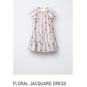 Zara Blue and White Striped Dress with Red Floral Details